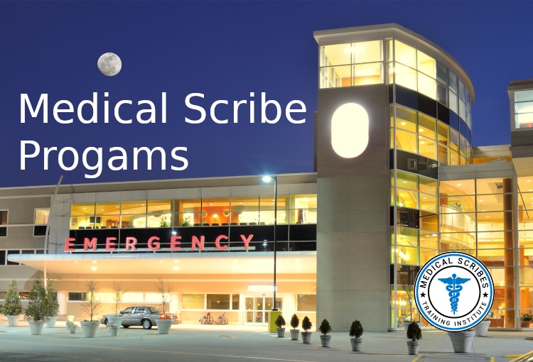 Medical Scribe Programs